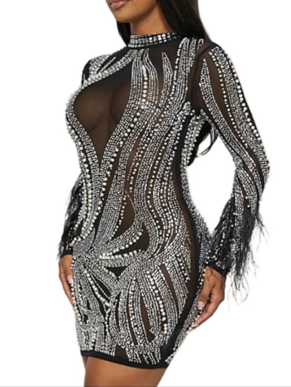 Black Sheer | Rhinestone Bodycon Dress |  Feather Cuffs | Faux Pearl Beads |